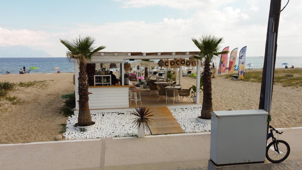 Cocoon Hotel-Beach Bar Sarti Bagian luar foto