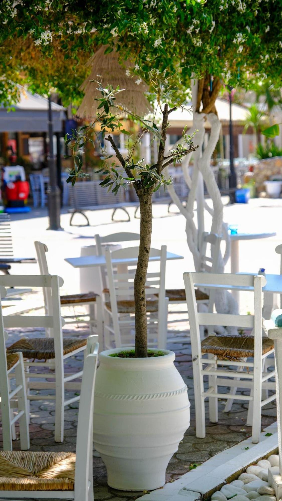 Cocoon Hotel-Beach Bar Sarti Bagian luar foto