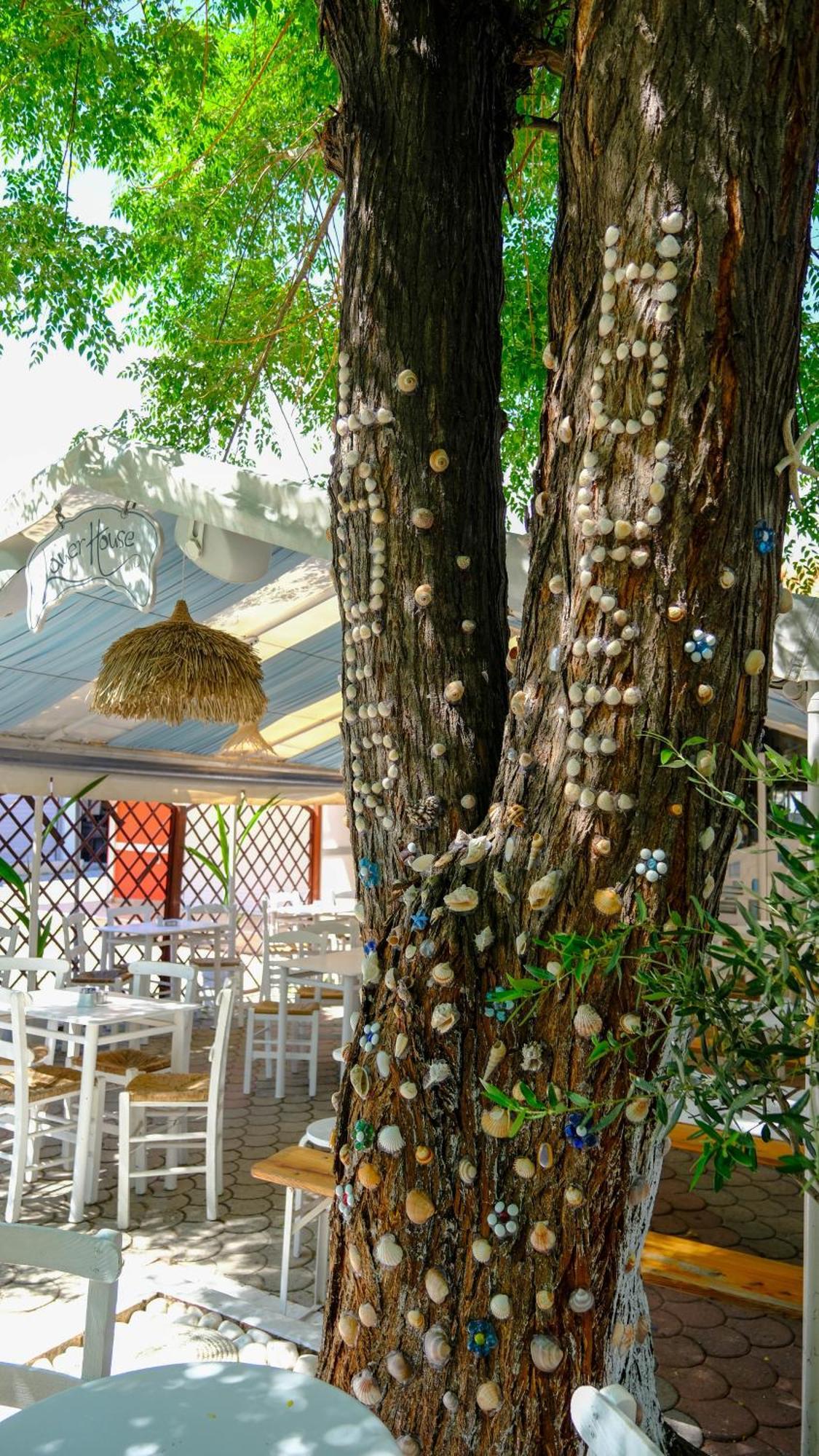 Cocoon Hotel-Beach Bar Sarti Bagian luar foto